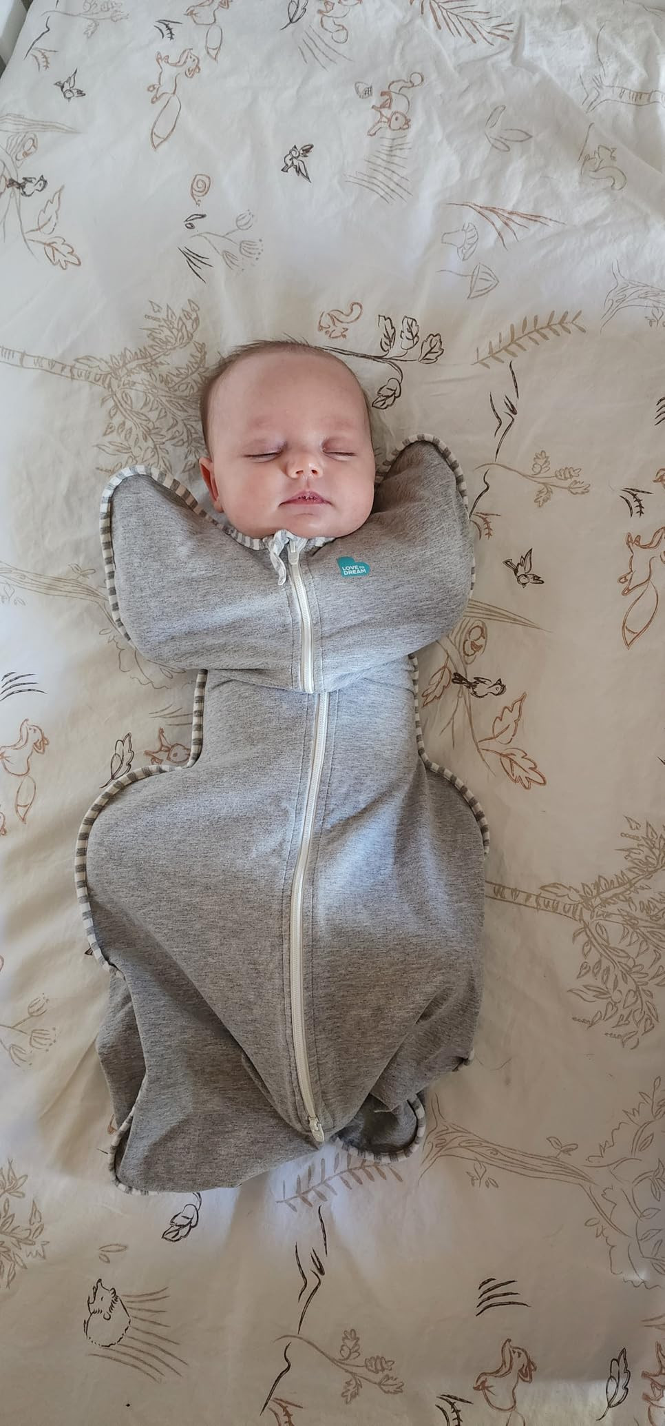 Love to Dream Swaddle Up, Gray, Newborn, 5-8.5 Lbs., Dramatically Better Sleep, Allow Baby to Sle... | Amazon (US)