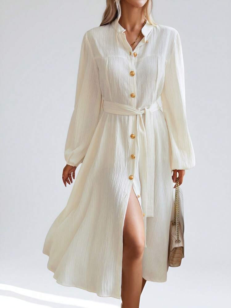 Aveloria Modichic Lantern Sleeve Belted Shirt Dress Vacation Outfits Woman  Fall Cloth For Women | SHEIN