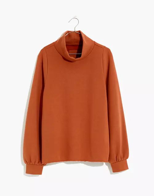 MWL Betterterry Relaxed Turtleneck Sweatshirt | Madewell