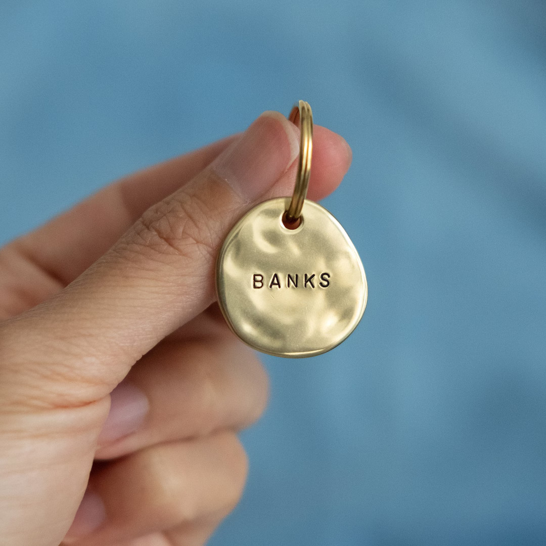 BANKS Medium: Luxury Hand Stamped Personalized Custom Pet ID Tags for Dogs and Cats in Solid Bras... | Etsy (US)