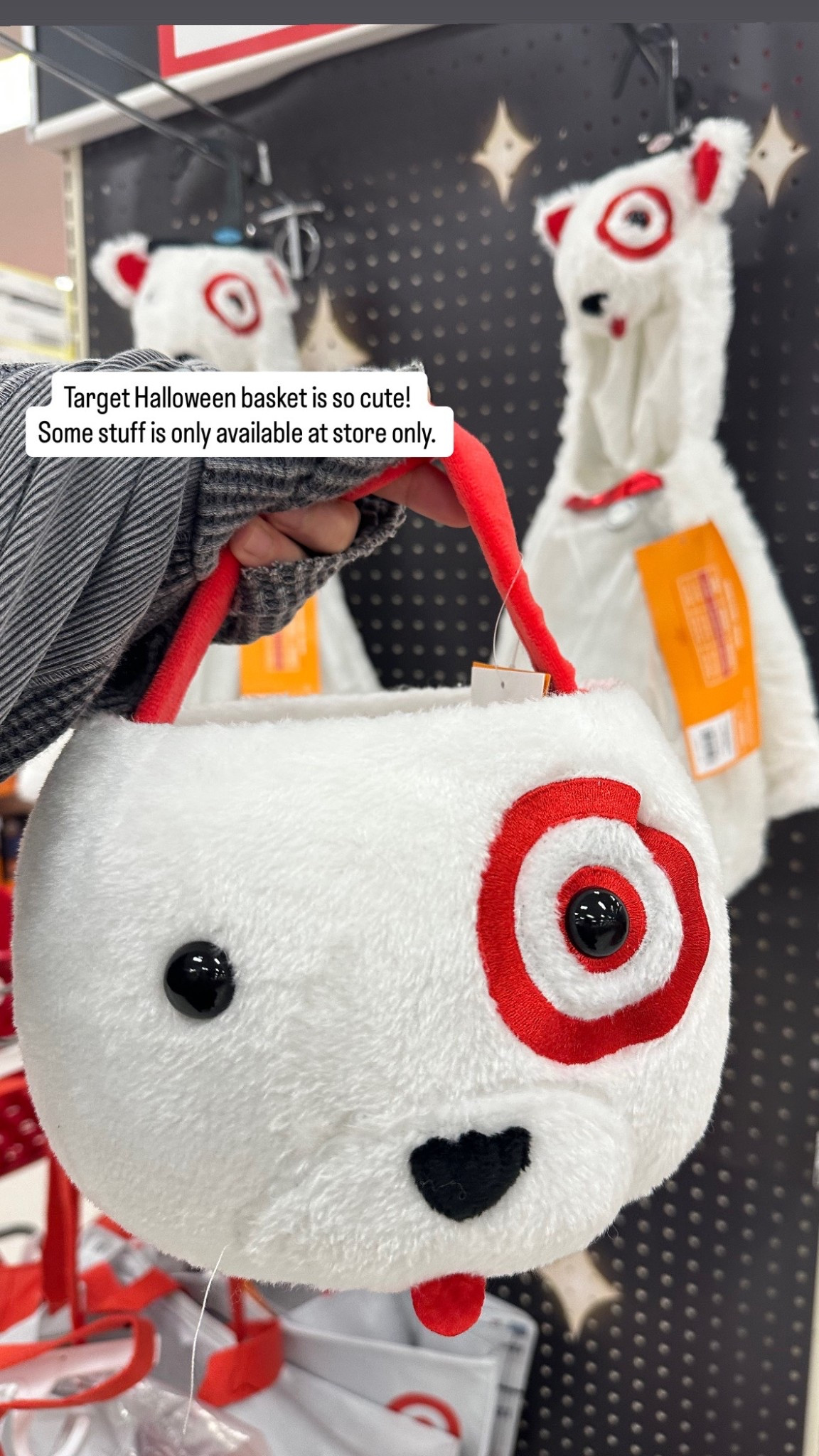 Target cute dog boo basket


#targetfinds #halloween

#LTKSeasonal #LTKHoliday #LTKFamily