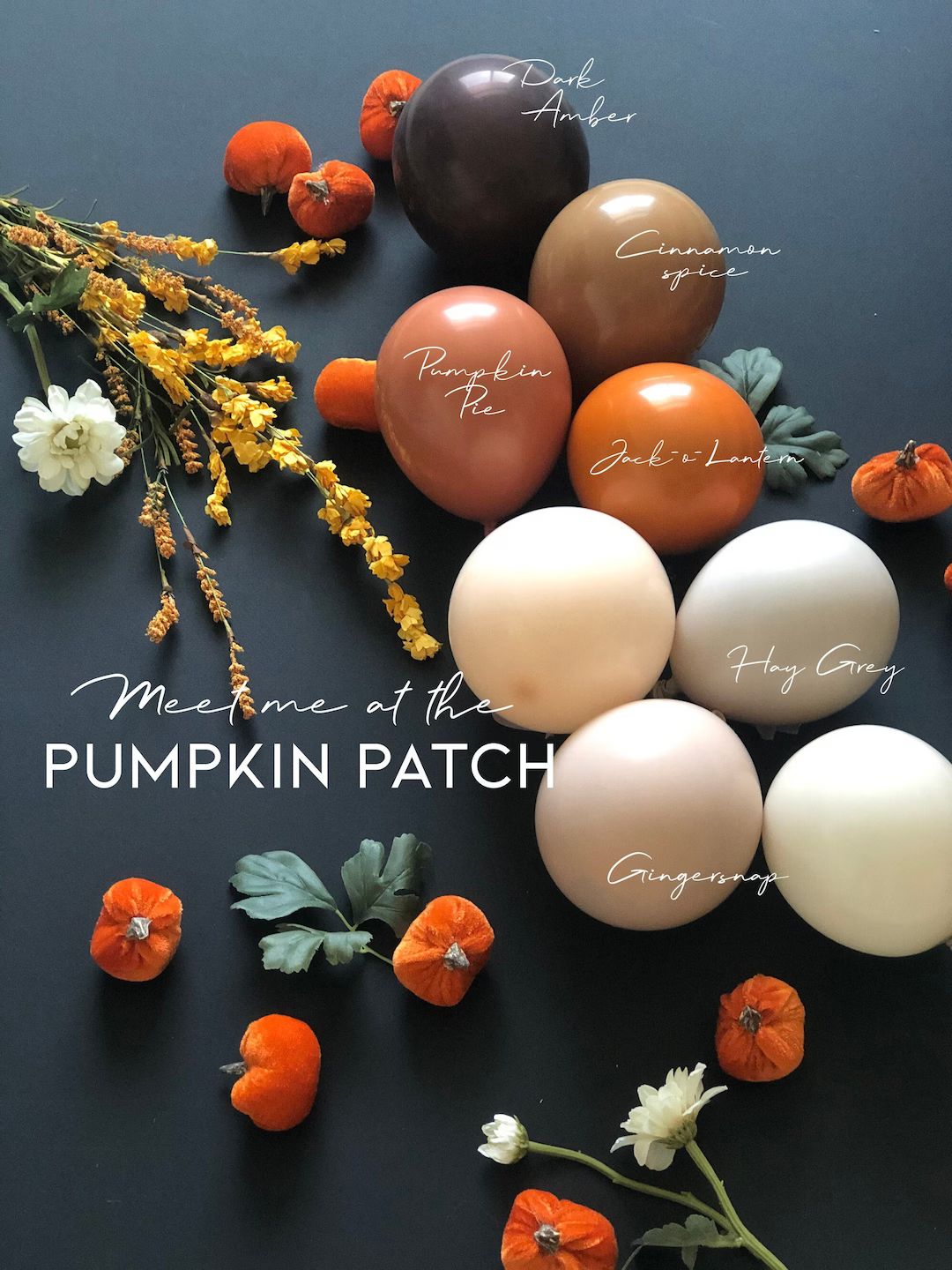 DIY Balloon Garland Arch Kit / Custom High Quality MATTE Colors - Autumn, Pumpkin Patch, Thanksgivin | Etsy (US)