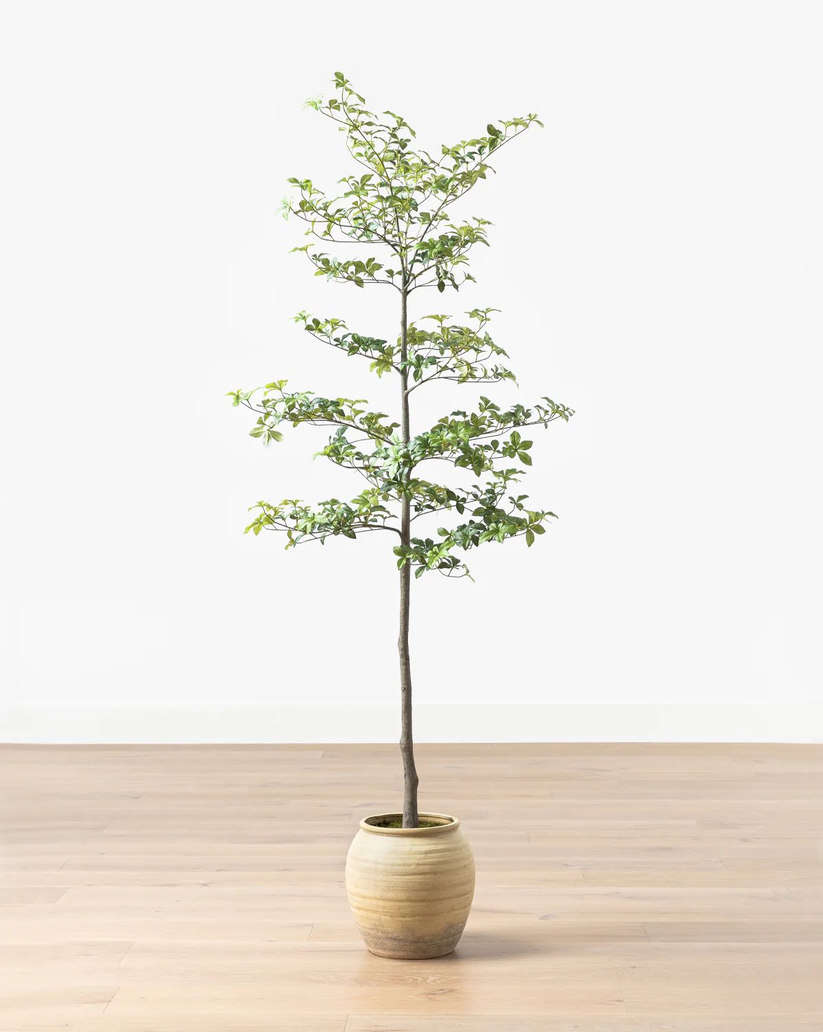 Faux Japanese Quince Tree | McGee & Co. (US)