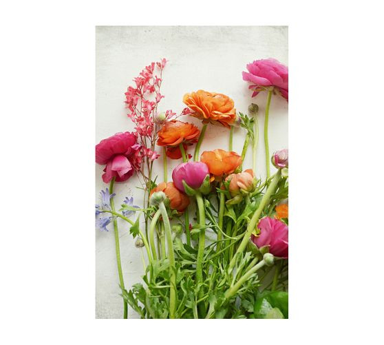 Spring Joy Paper by Lupen Grainne | Pottery Barn (US)