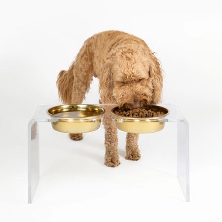 Dog bowls, acrylic dog bowls, gold dog bowls 

#LTKhome #LTKfindsunder100 #LTKstyletip