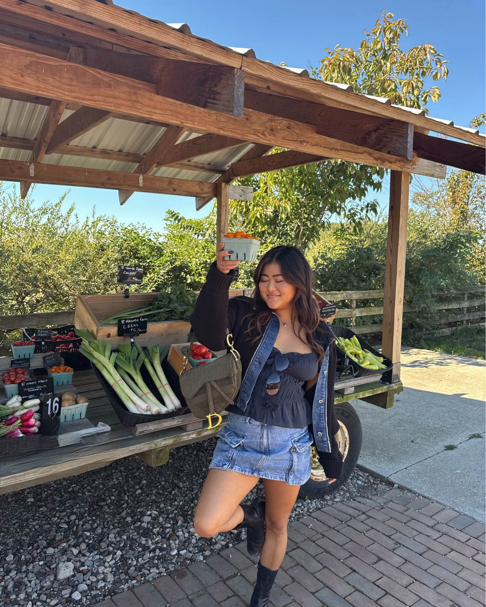 Fall fits are too cute 
cargo skirt- #garage 
Denim detail sweater- French mauve 
Purse- Dior 
Top- 

#LTKSeasonal #LTKStyleTip #LTKPetite