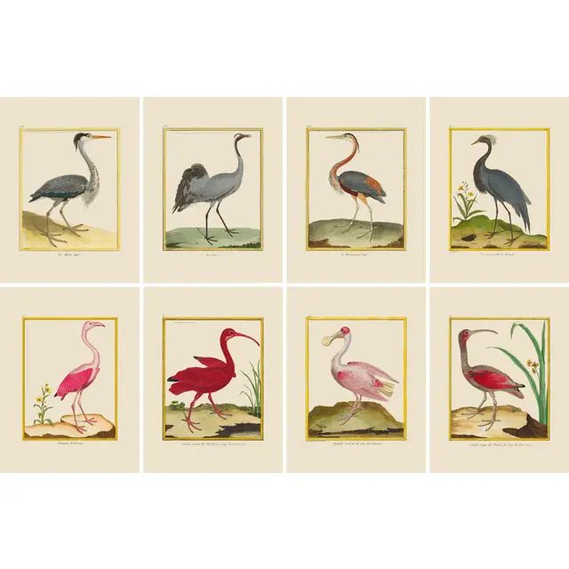 Shore Bird Grouping by Martinet Blue and Pink Giclee Reproductions | Chairish