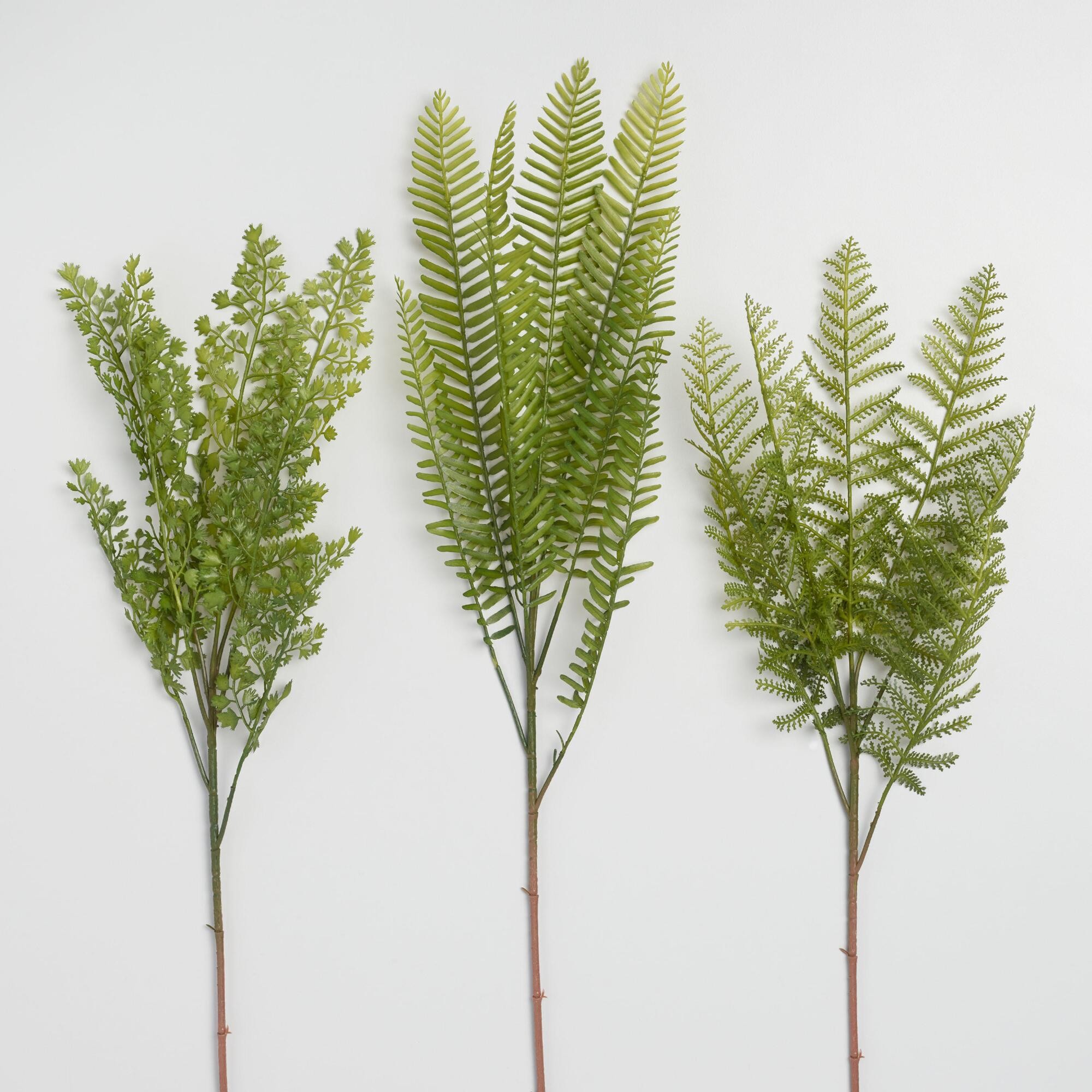 Faux Fern Plant Stems Set of 3 by World Market | World Market