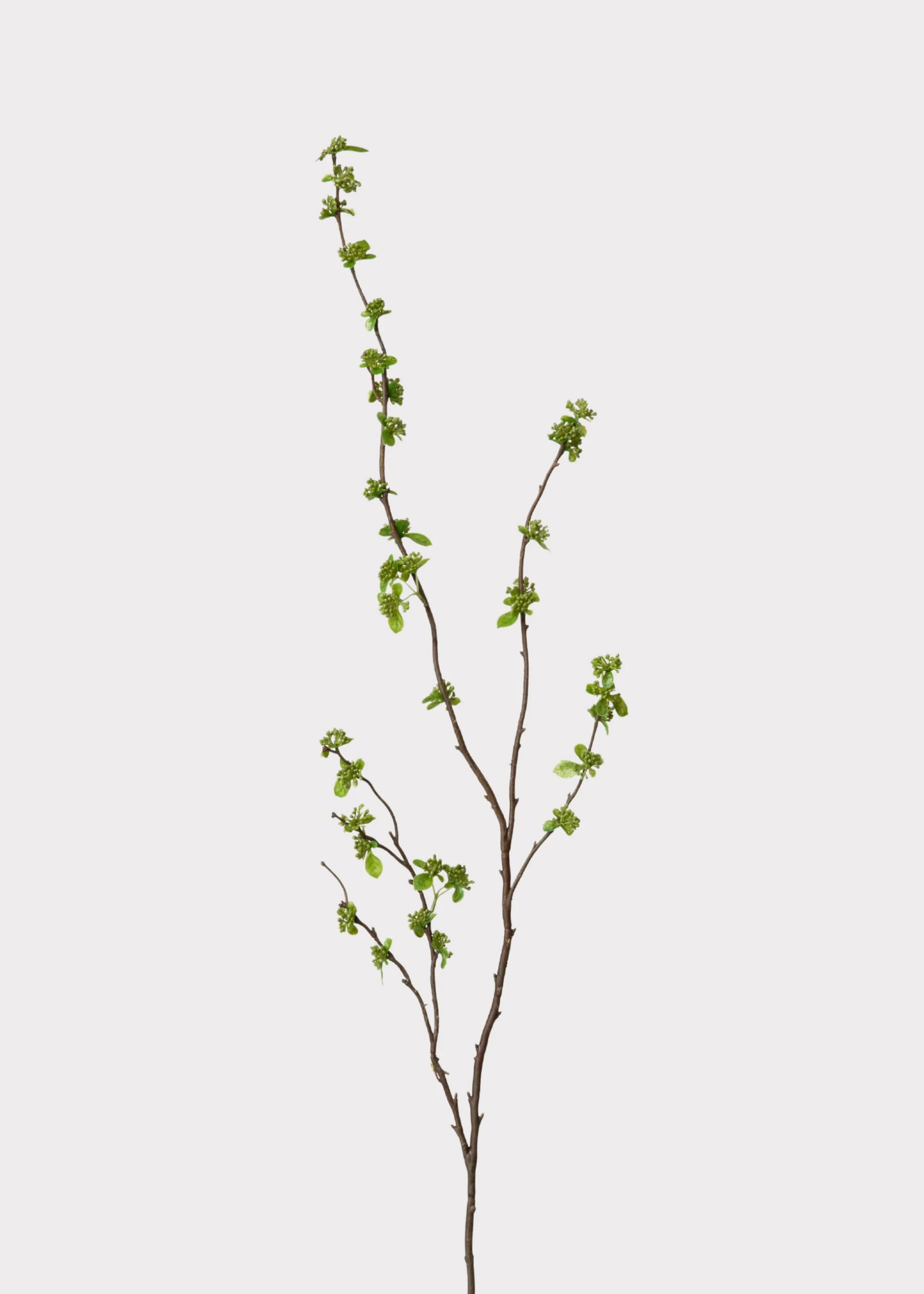 Green Budding Branch | Faux Branches for Floral Styling | Afloral.com | Afloral