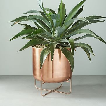 Spun Metal Standing Planters | West Elm (US)