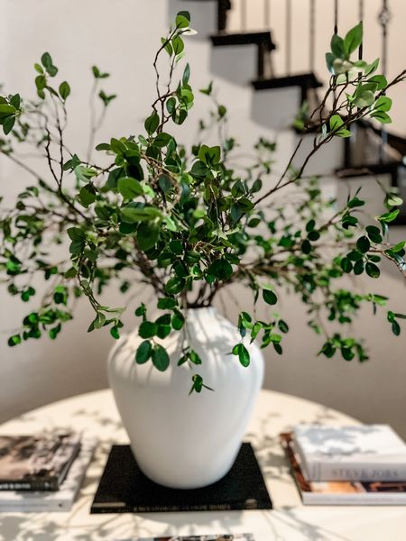 New favorite branches, stems, greens, these are 12 branches together 

#LTKunder50 #LTKstyletip #LTKhome