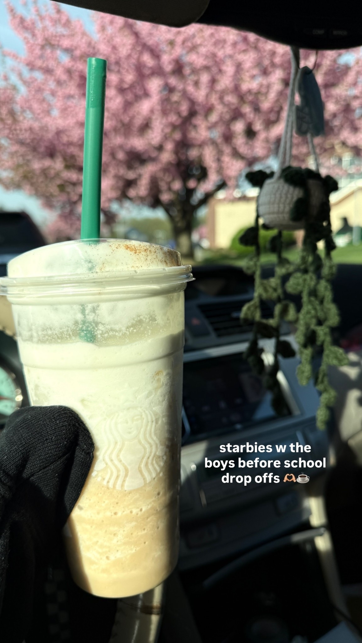 starbies w the boys before school drop offs 🫶🏼☕️
#carplant #caraccessories #caressentials

#LTKTravel #LTKmorningroutine #LTKdayinmylife