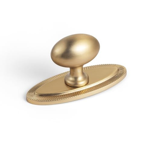Goo-Ki Champagne Bronze Cabinet Knobs（Ellipsoid） with Backplate(Oval Shape),Zinc Alloy Cabinet Hardware for Kitchen Cupboard,Dresser & Drawer,6 Packed | Amazon (US)