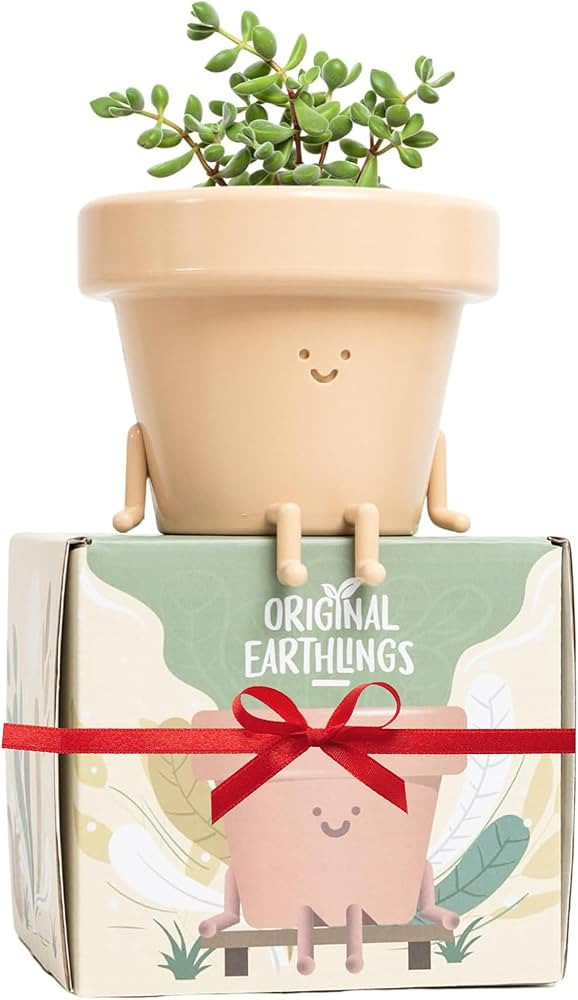 Original Earthlings Sitting Pot - 3.5 Inch Cute Plant Pot - Plastic Funny Planter with Drainage -... | Amazon (US)