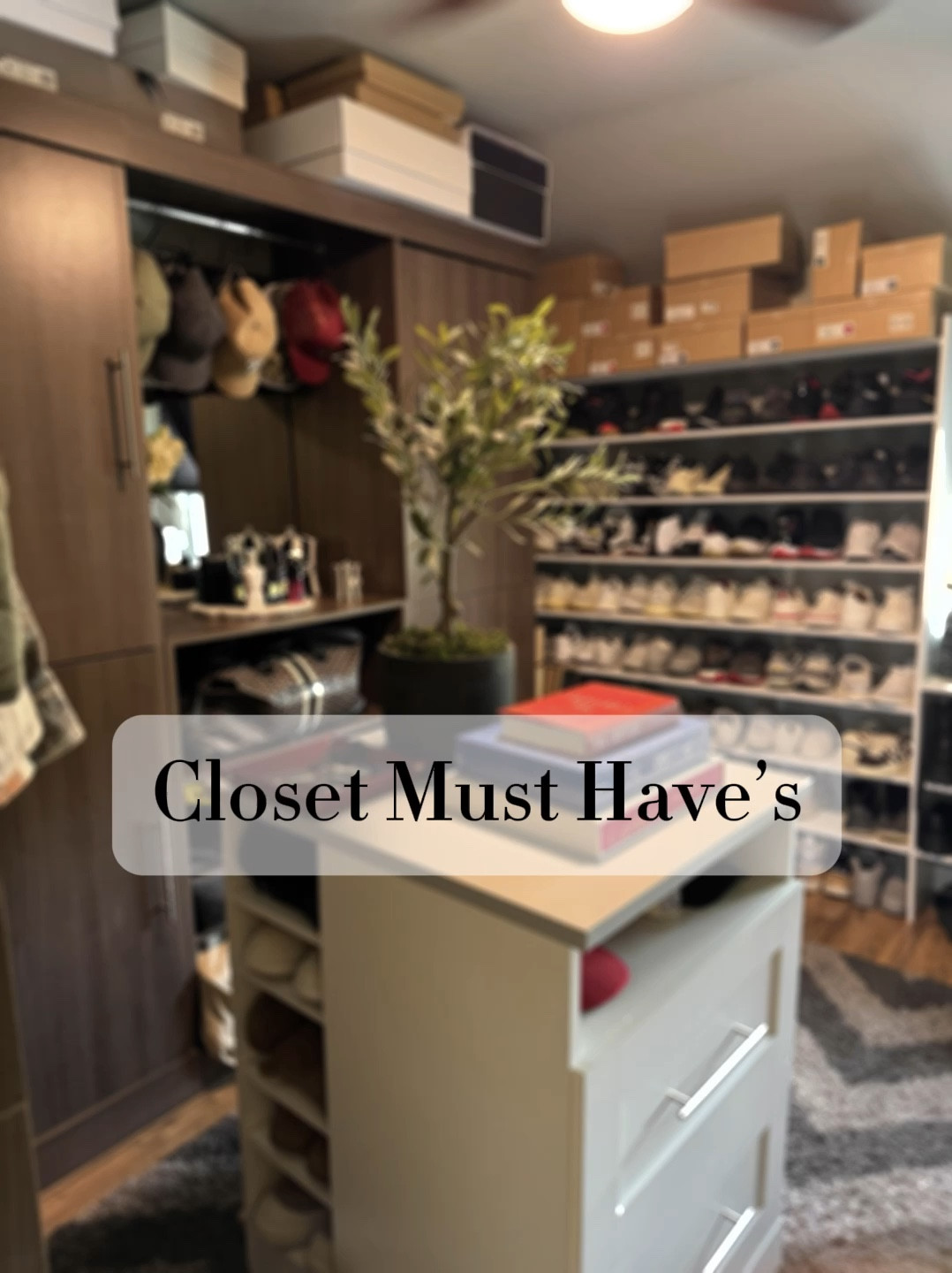 Some of my favorite items that don’t break the bank for your closet. 

#LTKFallSale 

#LTKFindsUnder100 #LTKHome