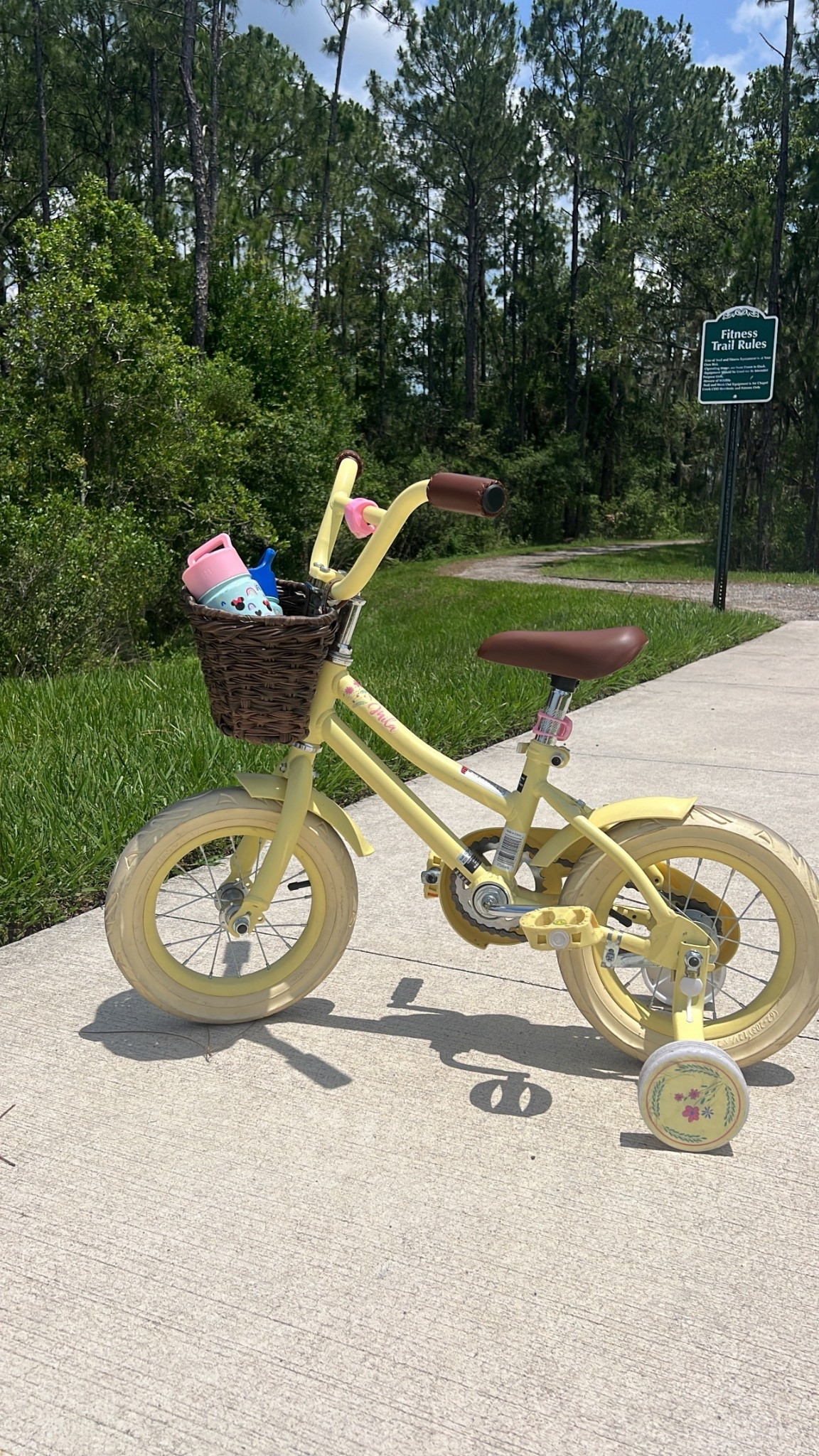 Petite toddler, bike with basket! 🥰🫶 under $100!

#LTKFamily #LTKKids #LTKActive