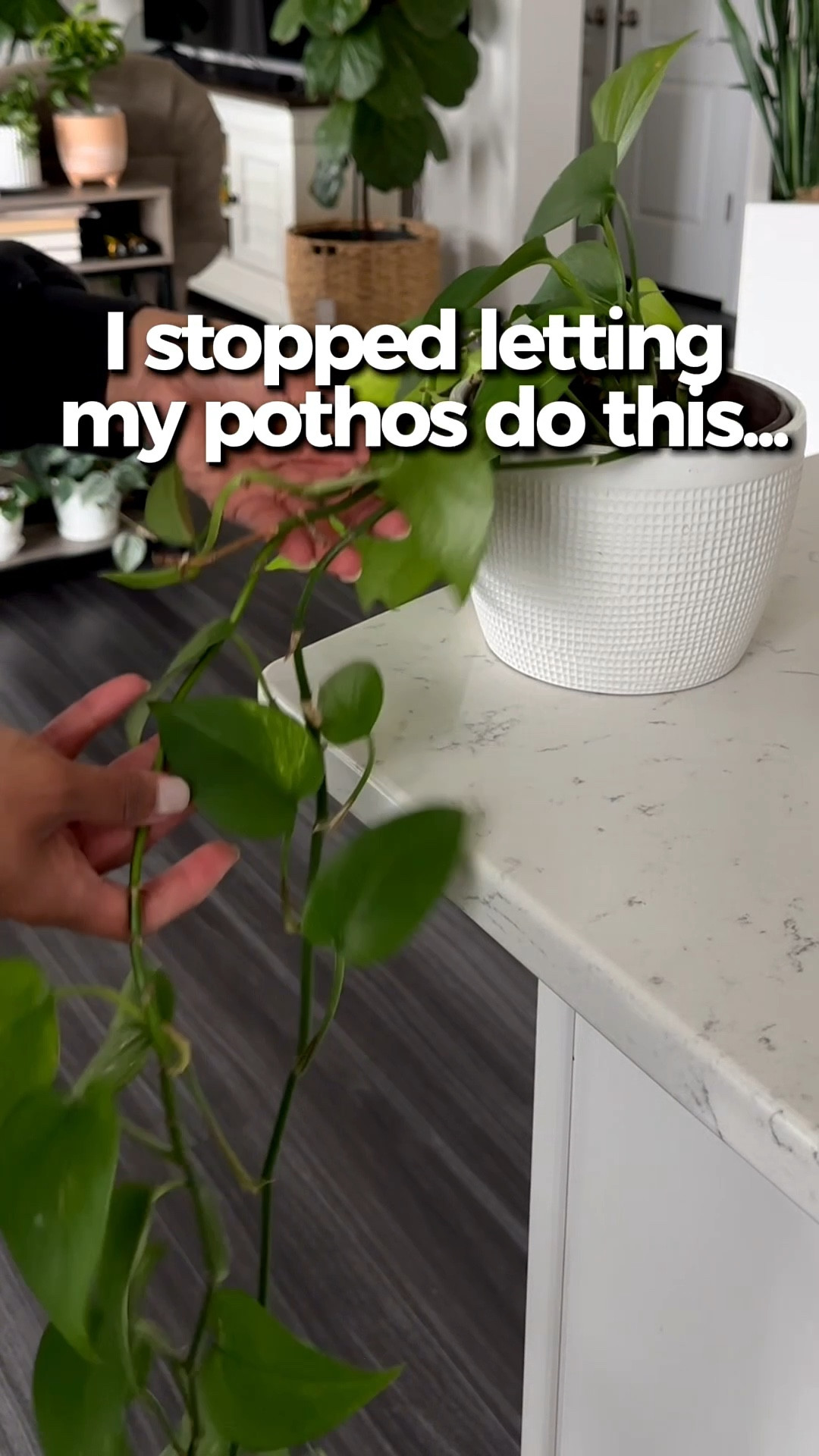 No clips, no tying… it just holds and blends in like a real branch. 

#LTKHome #LTKstorytime