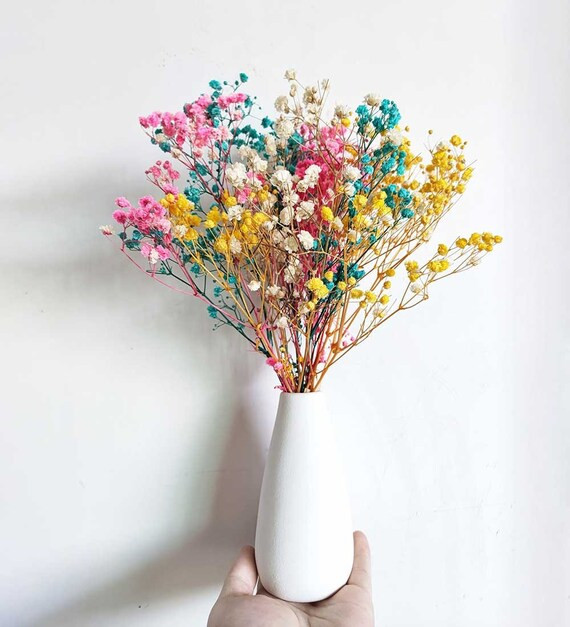 mixed color baby breath with vase，preserved baby s breath flowers bouquet，dried flowers bouqu... | Etsy (US)