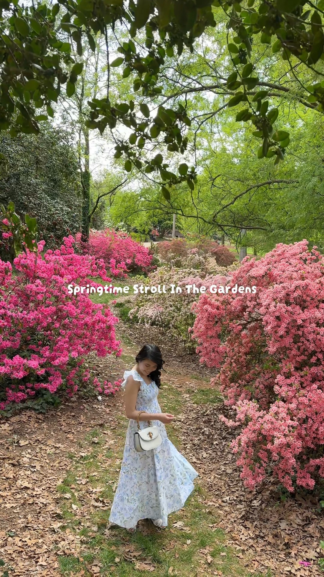 This is my favorite time of year! 🌸 Peak azalea season and the gardens are bursting with pink everywhere. 💓 Twirling through the blooms in a spring midi dress just feels like spring itself. Wearing the Hill House Ellie Nap Dress (size XS) — such a flattering, petite-friendly dress that’s perfect for wandering garden paths and flower-filled days. 🌷It also comes in so many beautiful prints, so there’s truly one for every season!☺️ #springdress #petitefashion #springfashion

#LTKootd #LTKPetite #LTKMothersDay