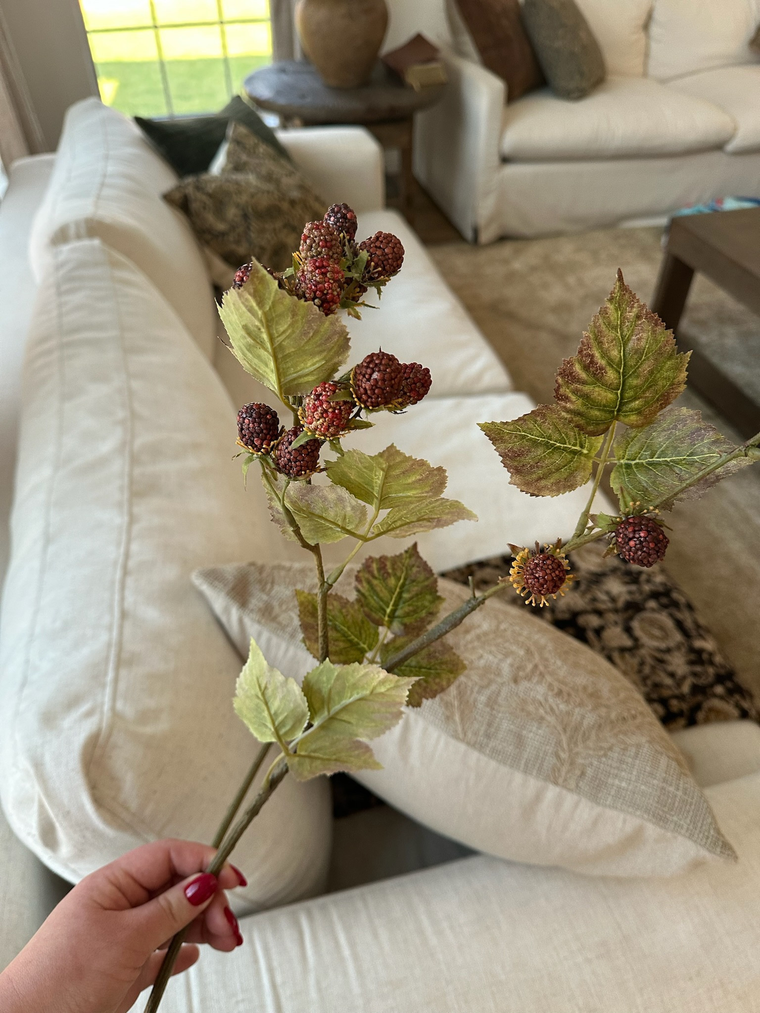 Pottery Barn Raspberry Stems!

fall stems, fall home decor, fall favorites, fall home finds, faux stem, faux raspberry stems, stems, pottery barn fall 

#LTKFindsUnder50 #LTKHome #LTKSeasonal