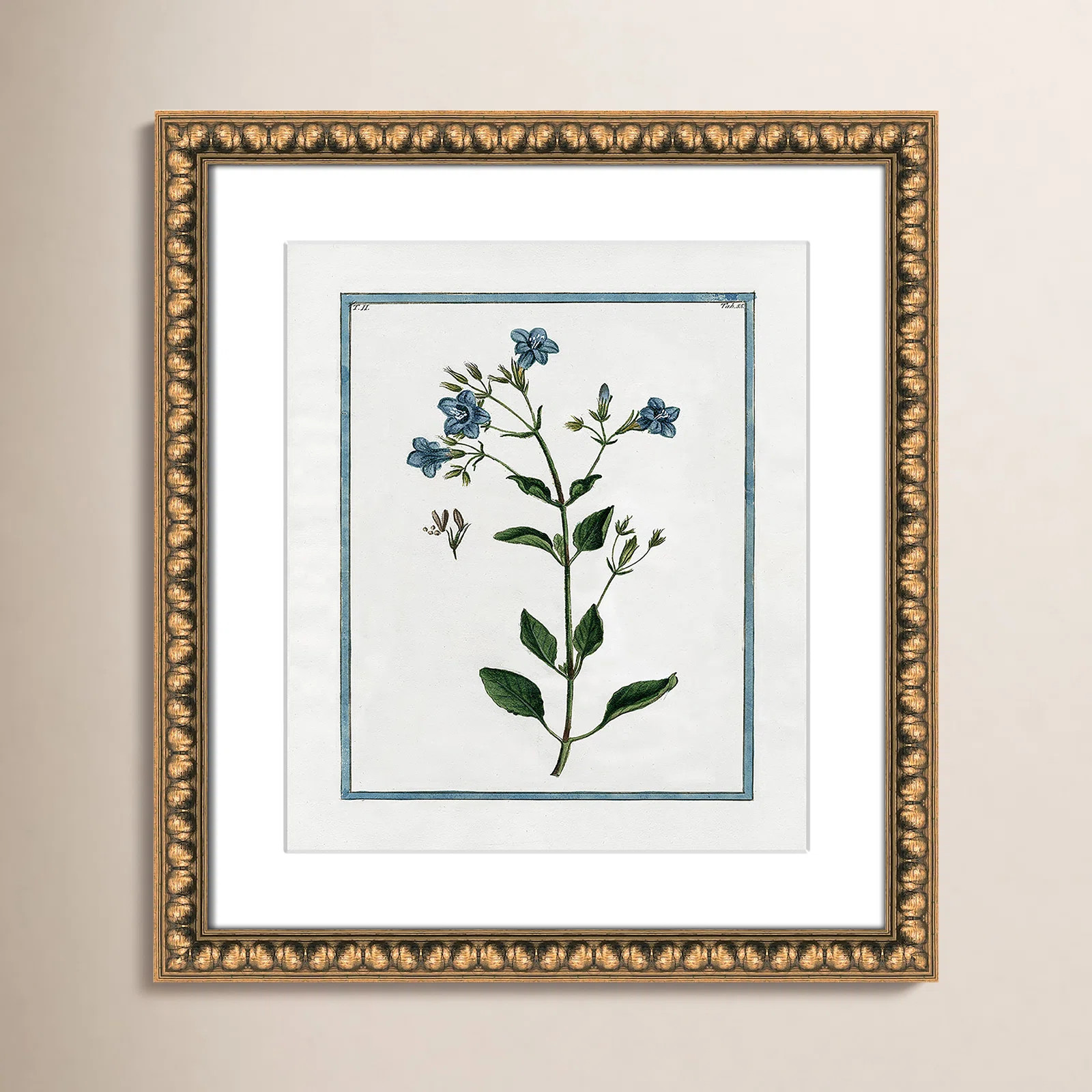 Shabby Elegance Botanical II - Framed Art | Birch Lane