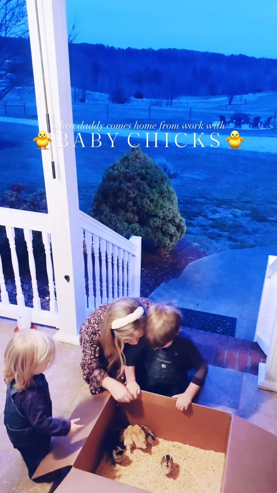 The best kind of surprise 🤭 on the farm 🚜 this evening for these sweet matching @carhartt overall 👖wearing country 🌾 babies of ours!! 👶🏼🐥 Say hello to the farm’s newest baby chickies - Judson and Sweet Baby Levi Rhett’s chickadees!!! 🐥🐥🐥🐥🐥🐥🐥 #babychicks #judsonandlevischickadees #chicksonthefarm 

“Dada” came home 🏡 from work with a box 📦 full of chickadees 🐥 and it was pure  j o y 🤩 around here!! 🥰 These little ones sure are excited to have some new baby chicks 🐥 to care for this spring ahead 🌼☀️ to add to our flock!! 🐓🐔 We got chicks 🐣 for the very first time when Judson was a baby (almost the same exact age as Levi Rhett actually 👶🏼🤭) and we’ve been so excited to let Sweet Baby Levi Rhett get to experience it now, too!! 🫶🏽 #babychicksarethecutest 

This farm sure is full of love ❤️ and giggles 🤭 around here!!! 🐥🌾🌳🚜 #welcometothefarmchicks 

#LTKmomlife #LTKKids #LTKdayinmylife