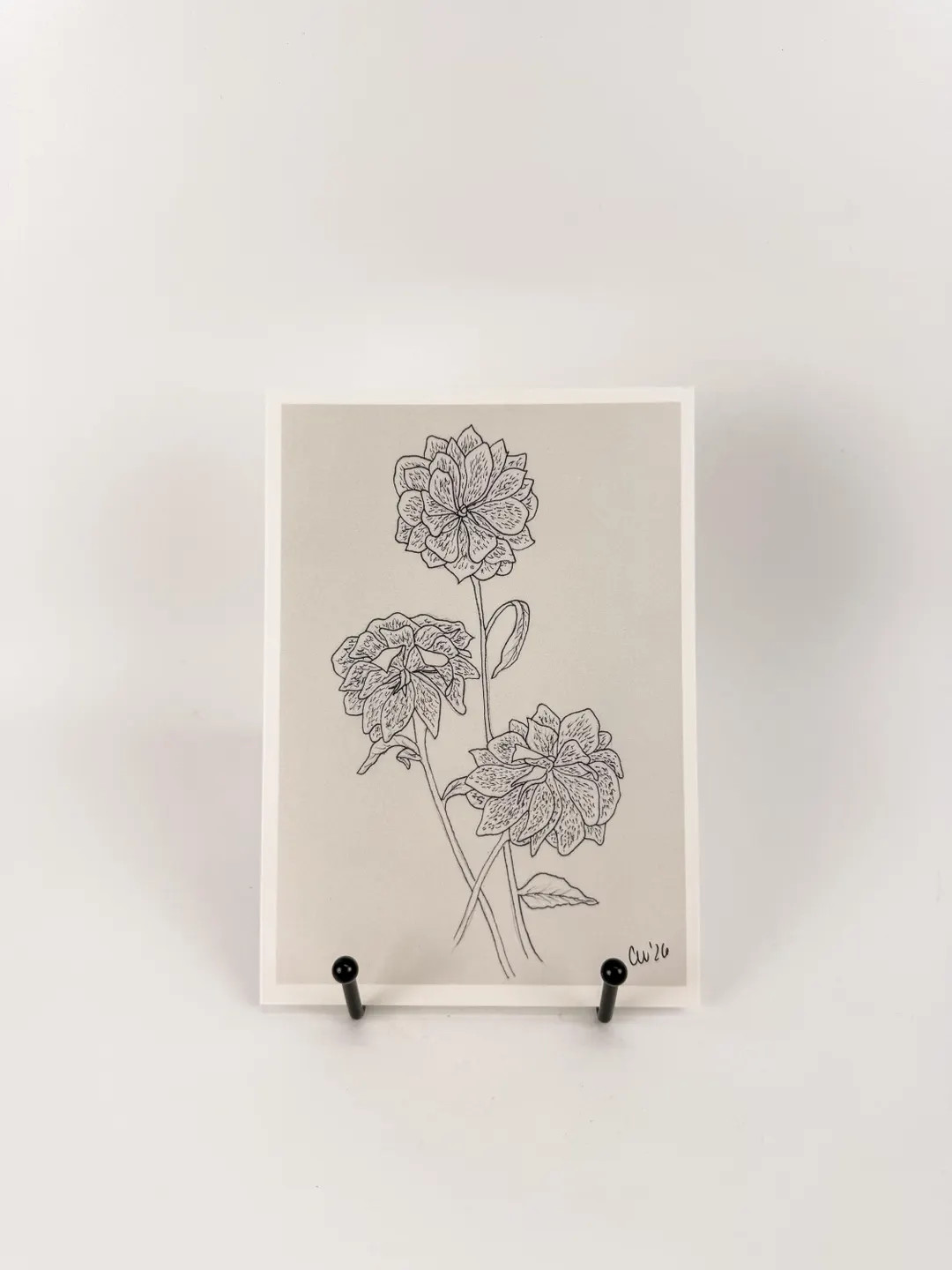 Hellebore Flower Art Print, 5x7 Print Of Floral Drawing, Black And White Garden Inspired Wall Art... | Etsy (Global)