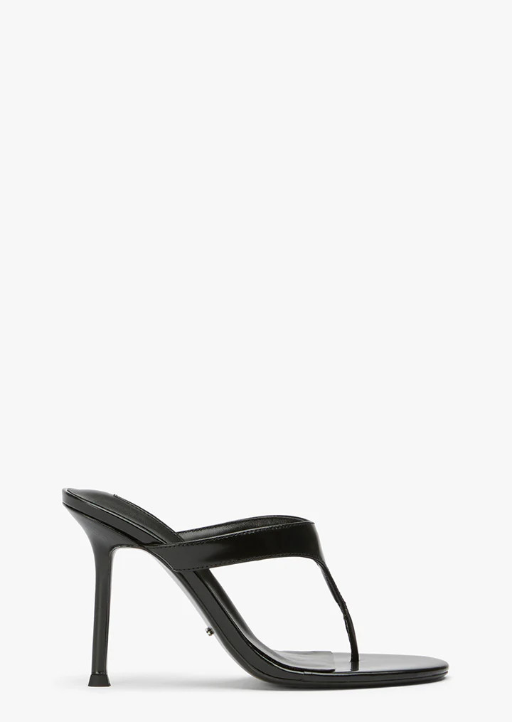 Dynasty Black Hi Shine | Tony Bianco US