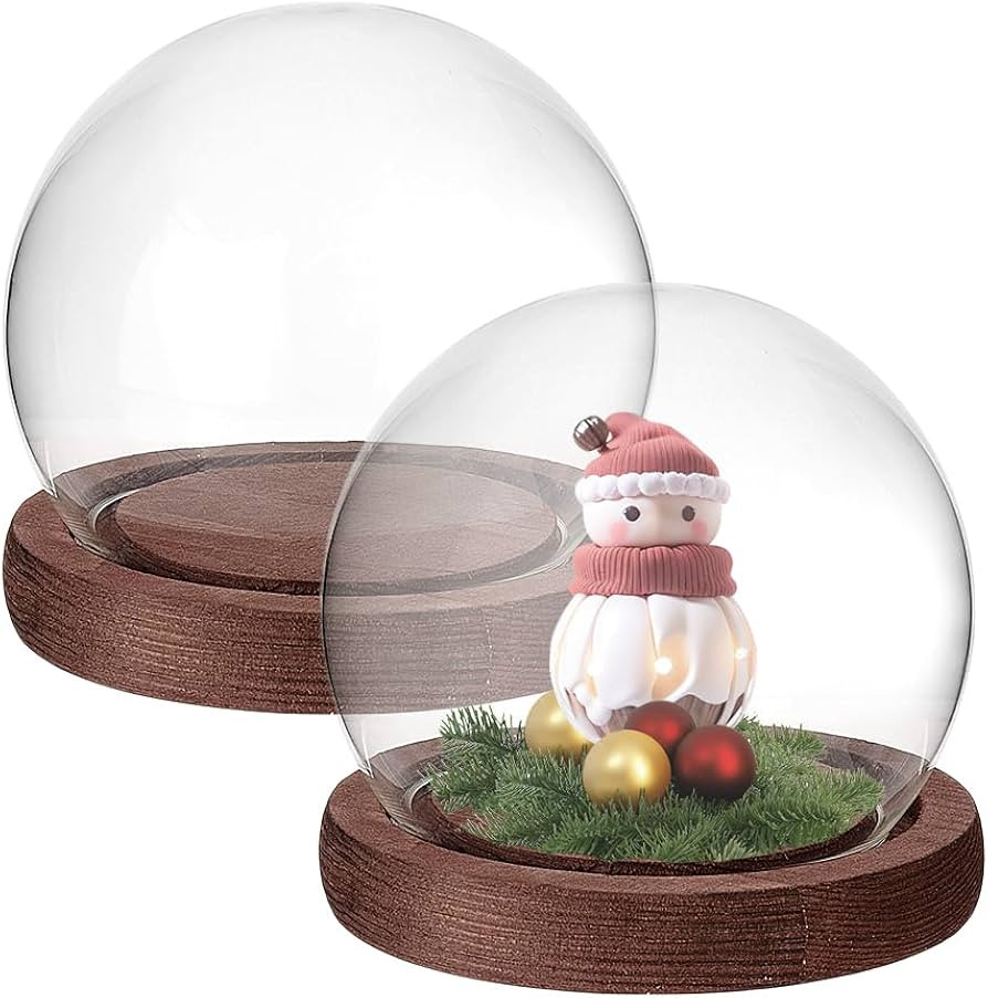 PH PandaHall 2pcs Glass Display Dome Cloche Round Dome Cover with Wooden Base Clear Glass Globe B... | Amazon (US)
