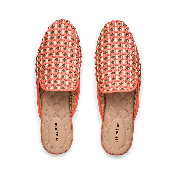 the phoebe | BIRDIES