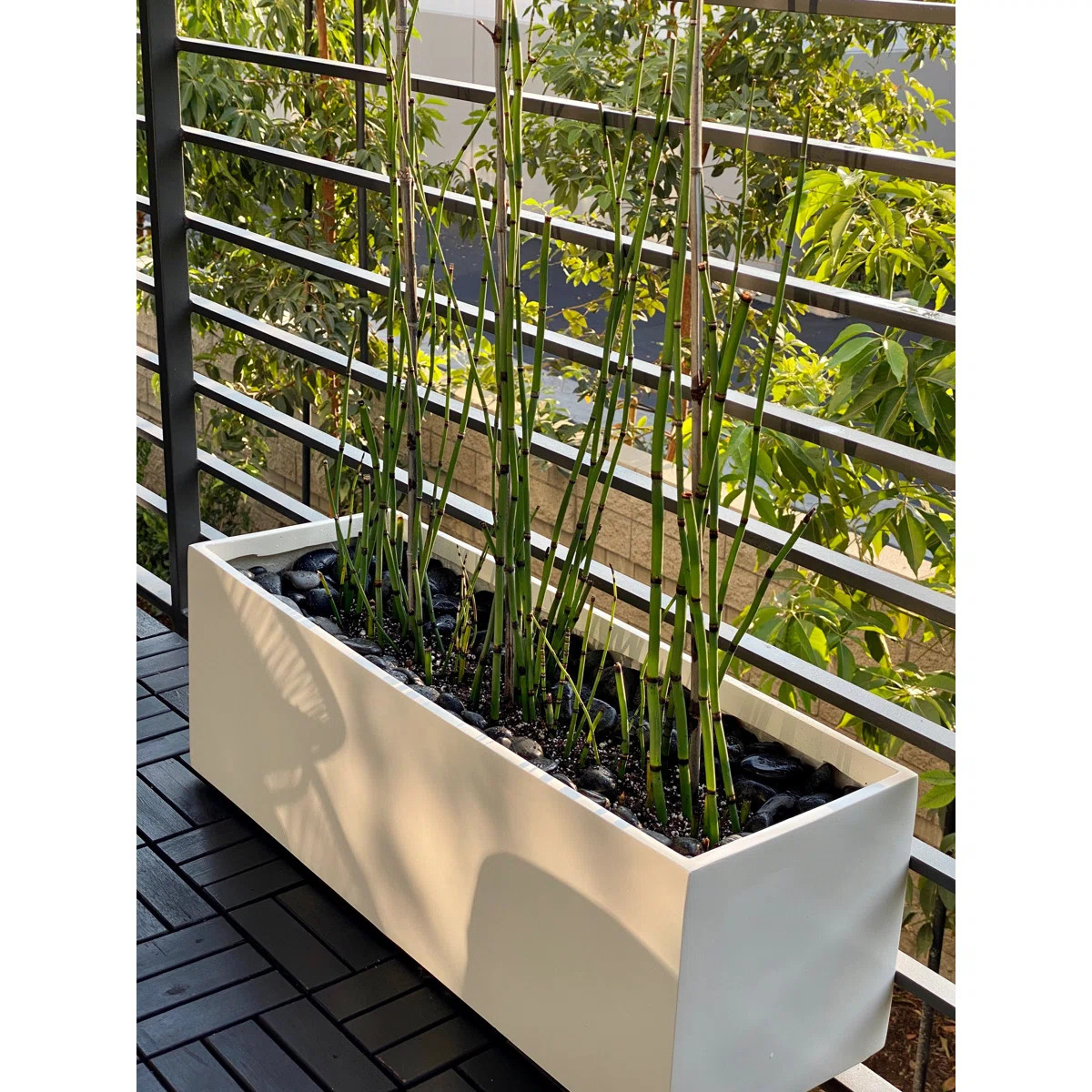 Cogburn Belmont Rectangle Planter Box | Wayfair North America