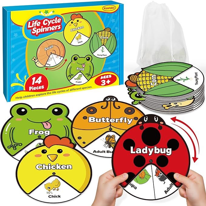 Life Cycle Toys for Kids,Animal Plant Insect Bug Ladybug Butterfly Tadpole to Frog Kit,Montessori... | Amazon (US)