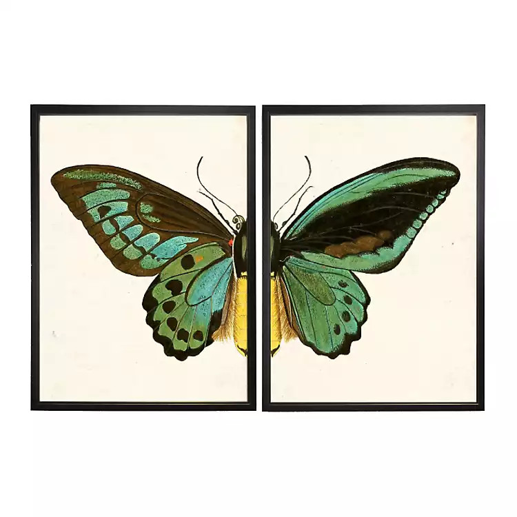 Turquoise Butterfly Framed Art Prints, Set of 2 | Kirkland's Home