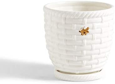 Two's Company Bee Happy Bee Skep and Golden Bee Planter Pot with Saucer | Amazon (US)