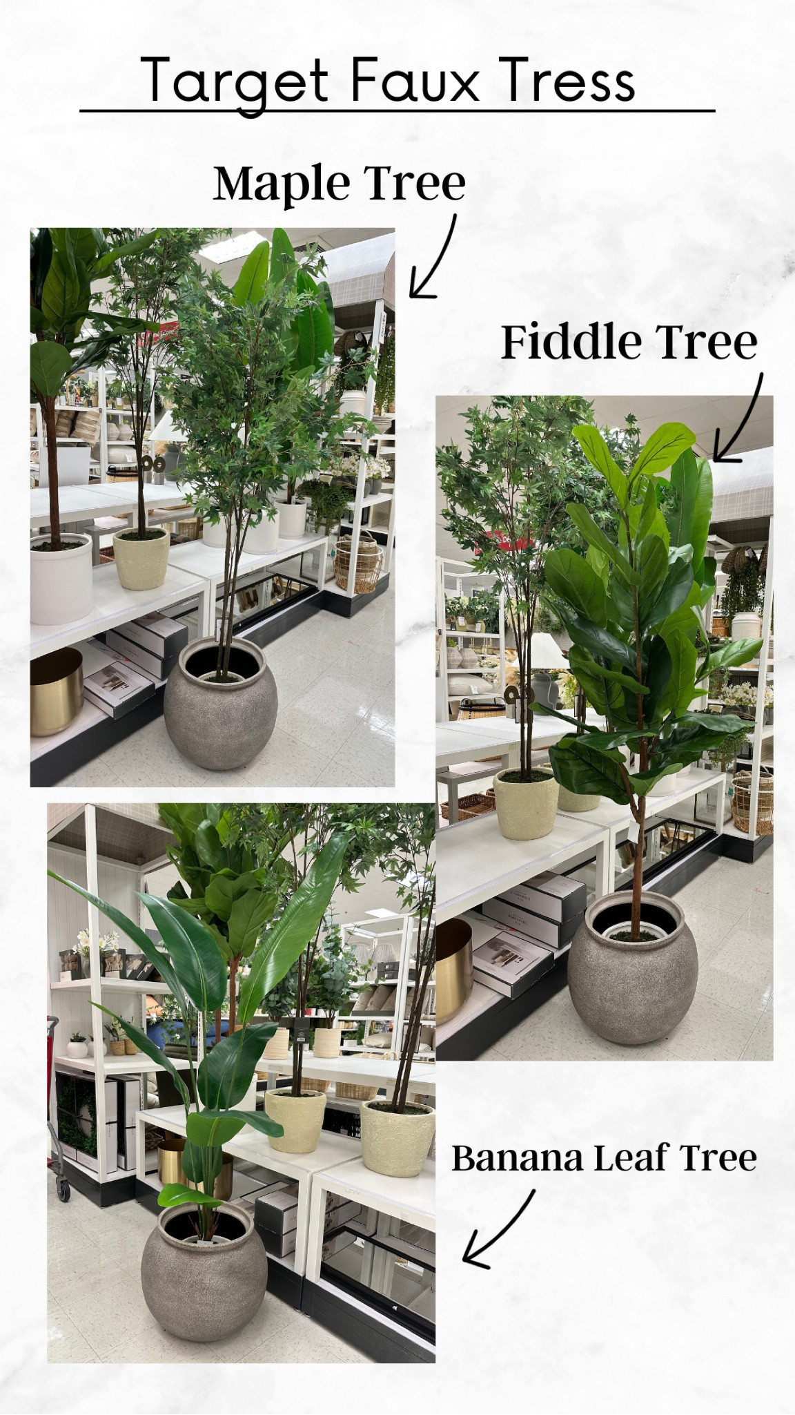 Shop my recent target run. I absolutely loved all these faux trees and couldn’t decide on what one. The planter is studio McGee and is stunning! 
Fiddle tree, maple tree, banana leaf tree, studio McGee target, studio McGee, studio McGee spring, threshold target, threshold decor, spring decor, large planter, outdoor planter 

#LTKhome #LTKFind #LTKunder100