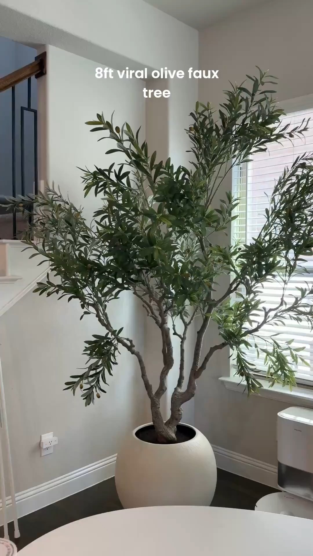 A simple, yet elegant touch for your house!

Sam’s Club, olive tree, indoor decor, indoor greenery, plants, fake plants, home decor, Mallory Lee Richardson

#LTKSeasonal #LTKOver40 #LTKHome