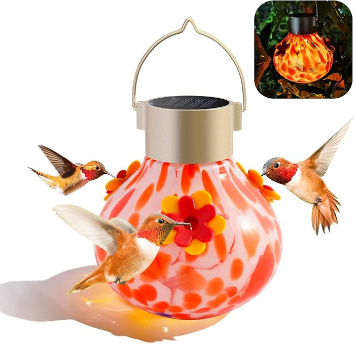 Hummingbird Feeder with Solar Light, Glass Hummingbird Feeder for Outdoors, Auto-Lighting Solar L... | Amazon (US)