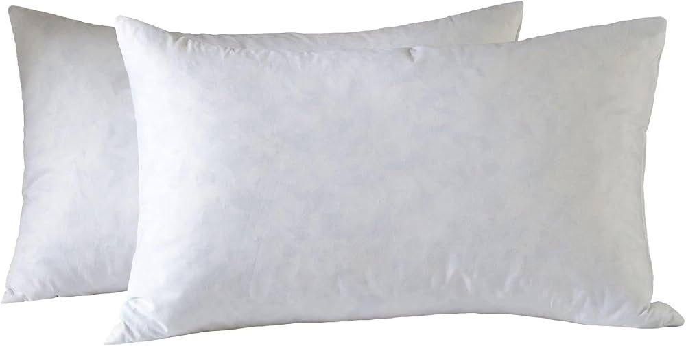 12x20 Decorative Throw Pillow Inserts-Down Feather Pillow Inserts-Oblong-Cotton Fabric-Set of 2-W... | Amazon (US)