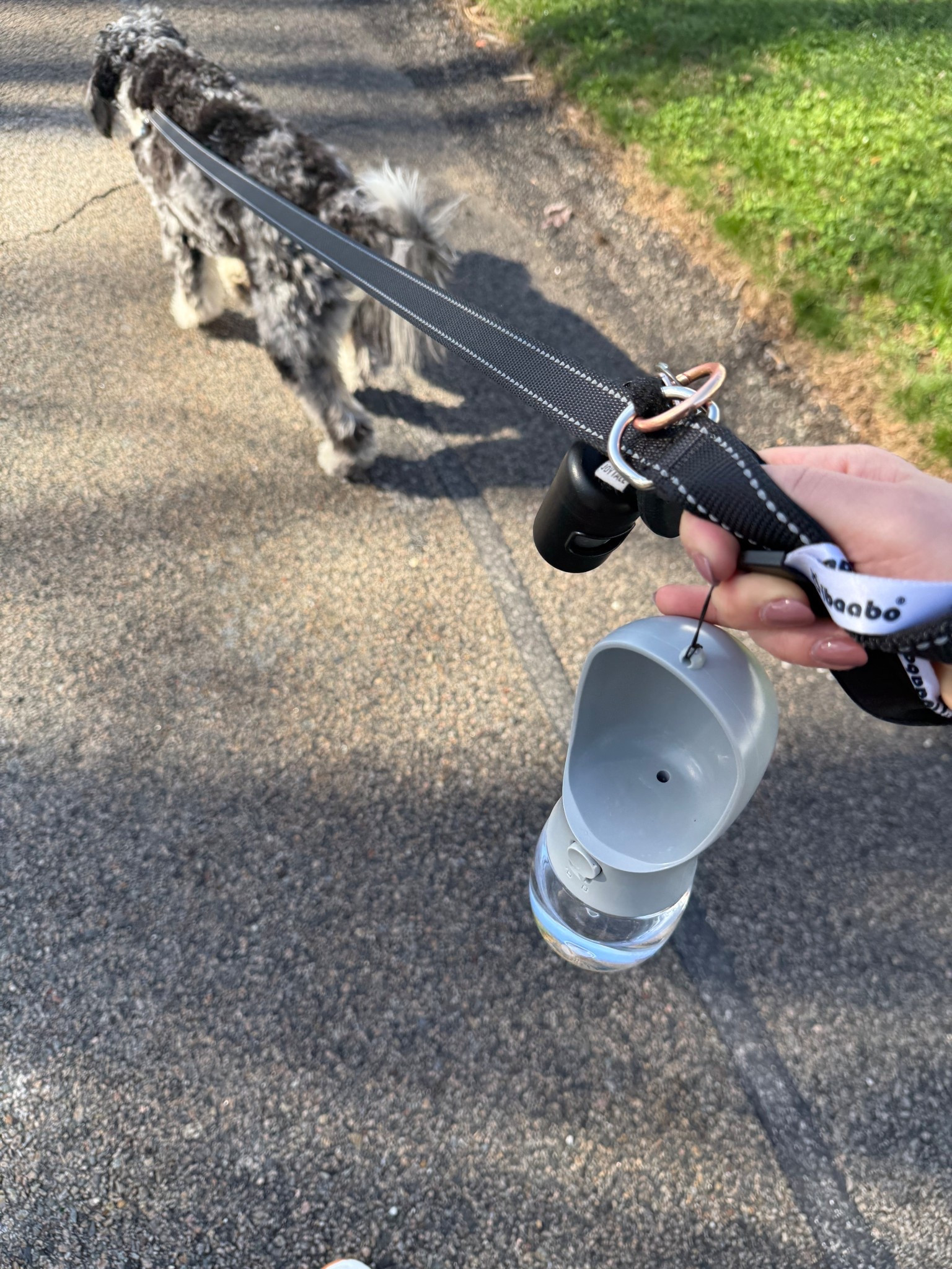 This dog water dispenser is so convenient for our long walks now that it’s heating up!

#LTKSeasonal #LTKActive #LTKTravel