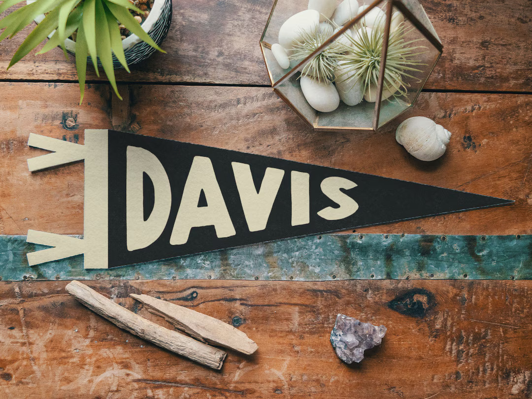 Custom Fun Name Sign Felt Pennant | Personalized Bold Vintage Style Banner Flag, Kids Room Decor,... | Etsy (US)