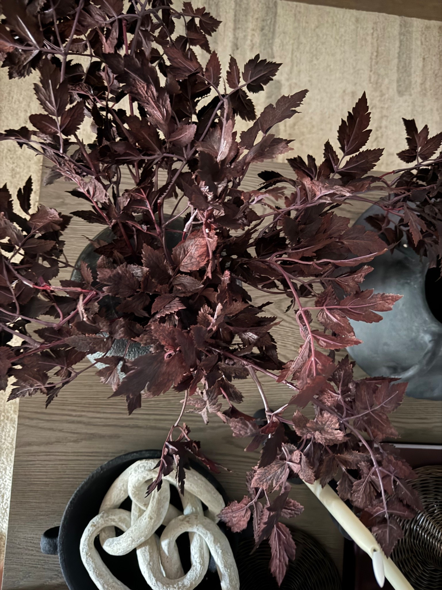 Sharing my favorite fall stems from Amazon!

#LTKStyleTip #LTKFindsUnder50 #LTKHome