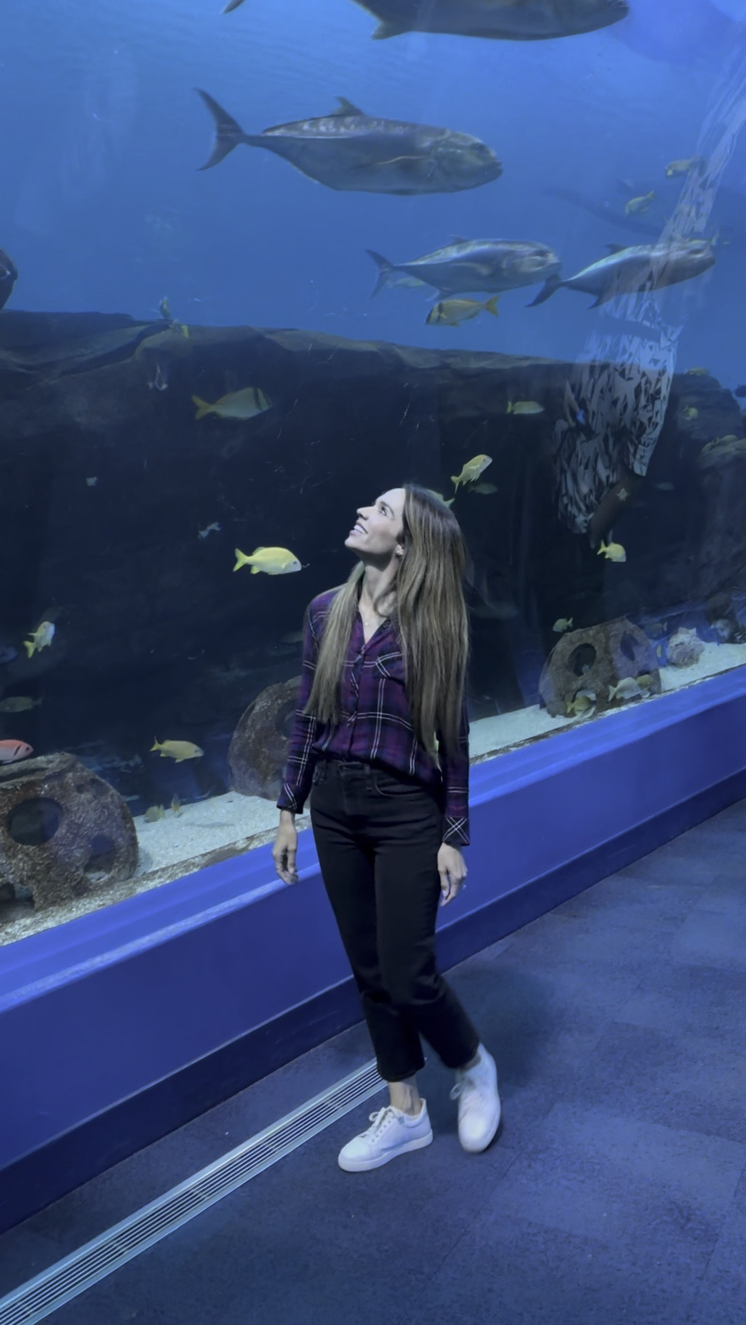 Exploring the Georgia Aquarium in this super comfy and classic outfit. When we have our family adventures, I strive for comfort and cute! I have this shirt in multiple colors & in sizes XS & S. This one is an XS. Jeans size 25. ❤️

#LTKfamily #LTKtravel #LTKshoecrush