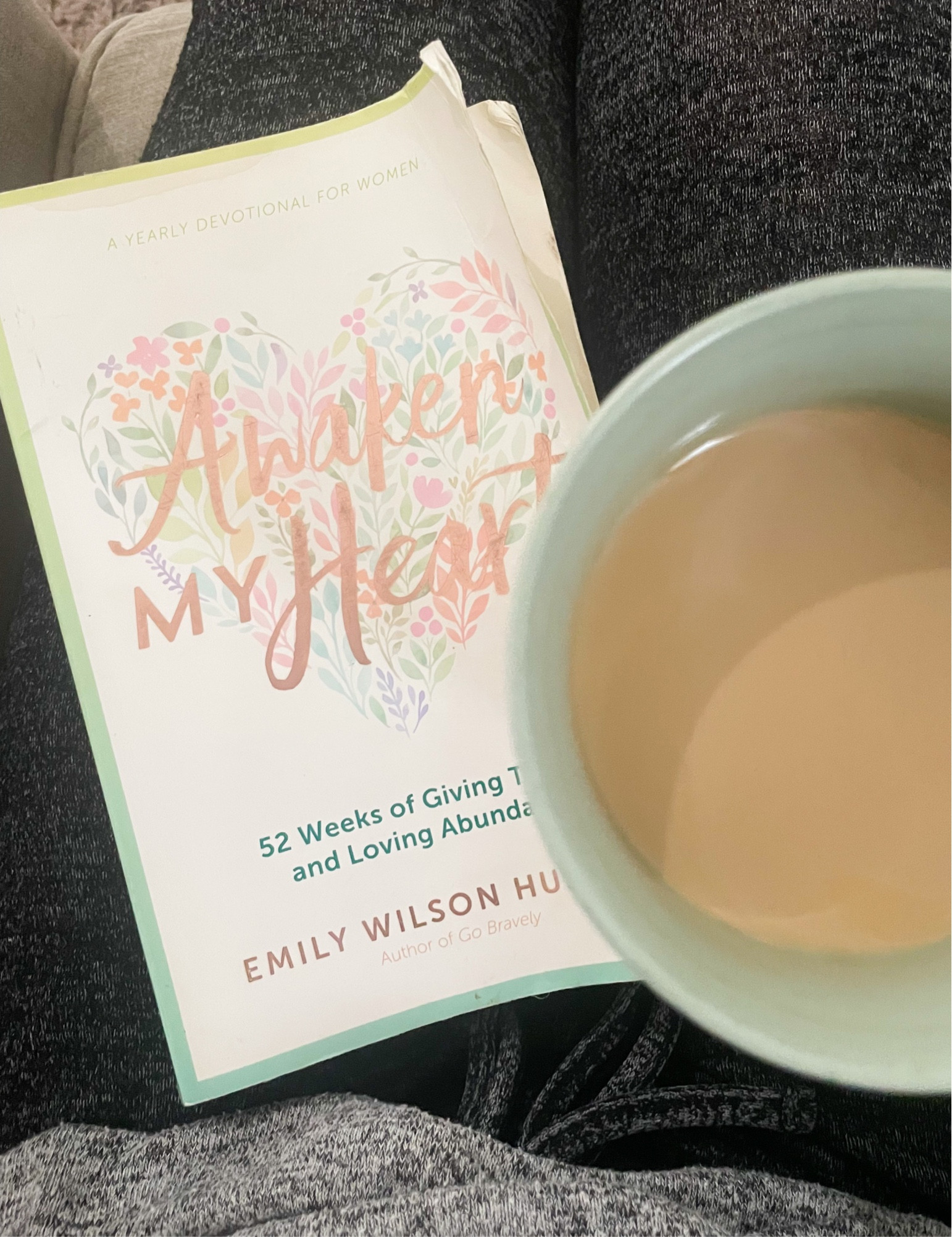Awaken My Heart Book by Emily Wilson Hussem

#LTKGiftGuide #LTKfindsunder50 #LTKSeasonal