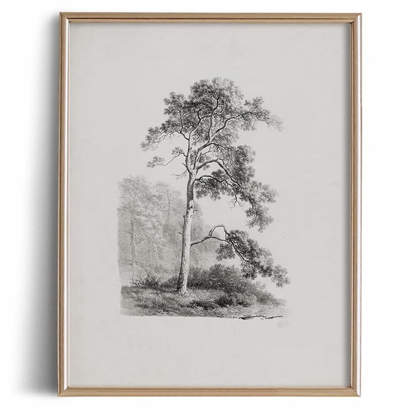 Vintage Farmhouse Engrave Line Wall Art - Nature Mountains Trees Etching Rustic Picture - Landsca... | Amazon (US)