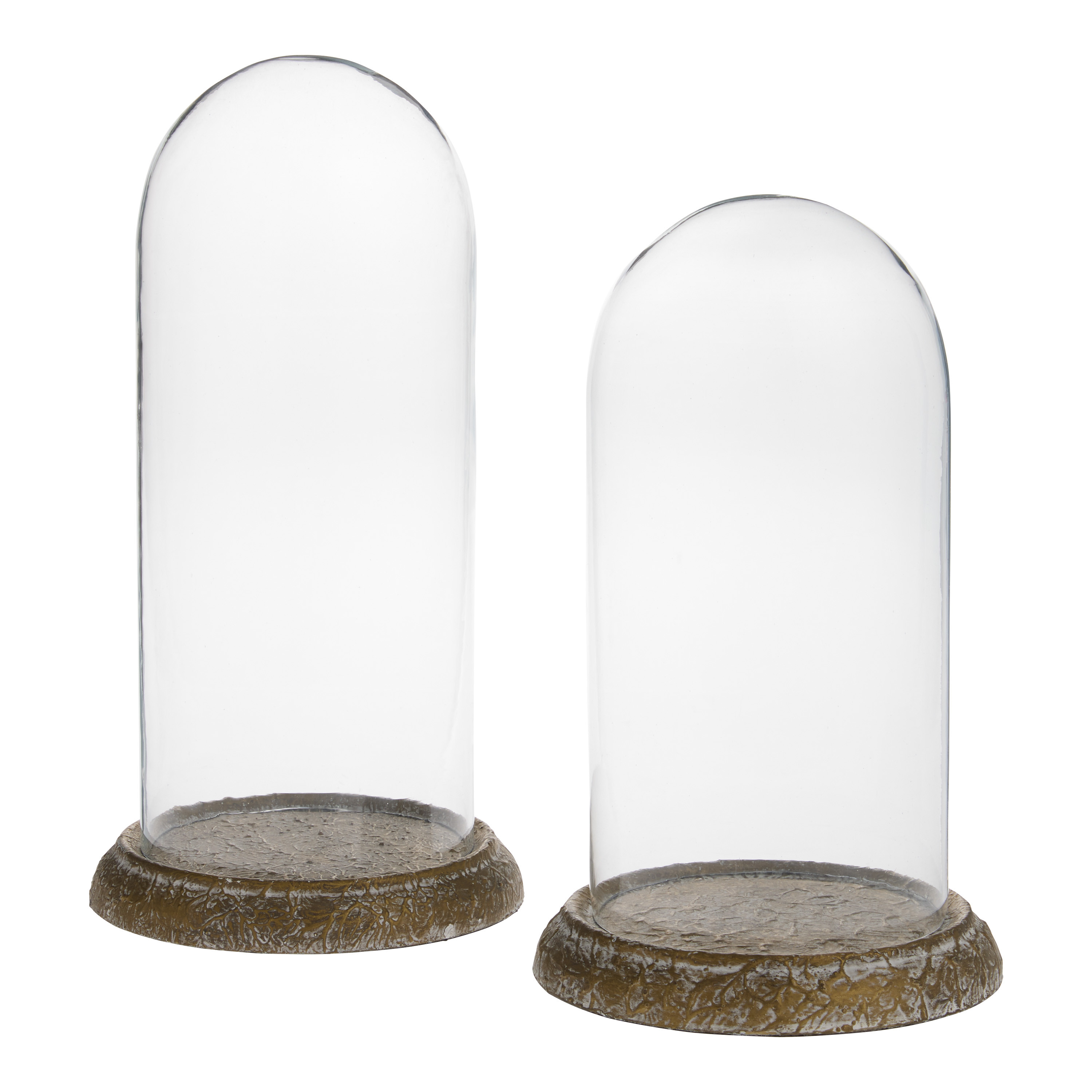 Glass Cloche with Antiqued Base | World Market