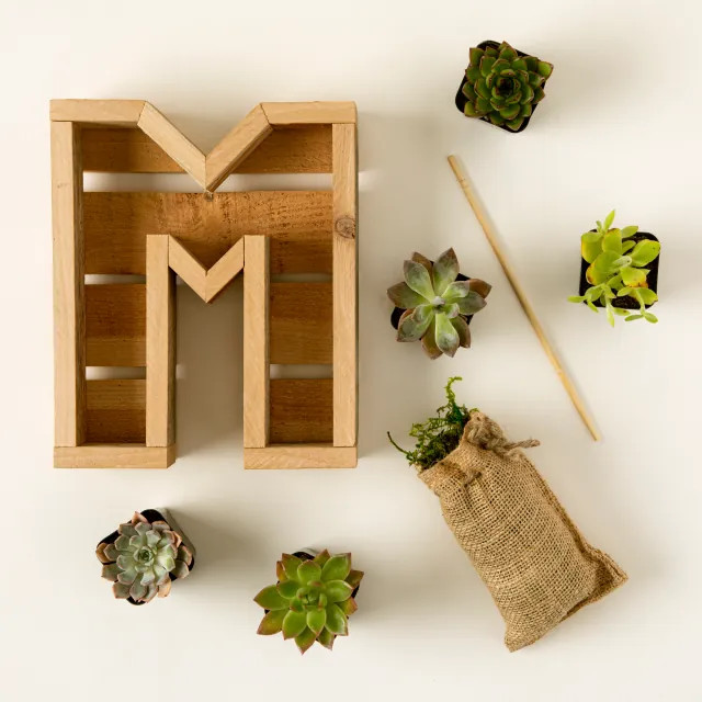 Succulent Letter DIY Kit | UncommonGoods