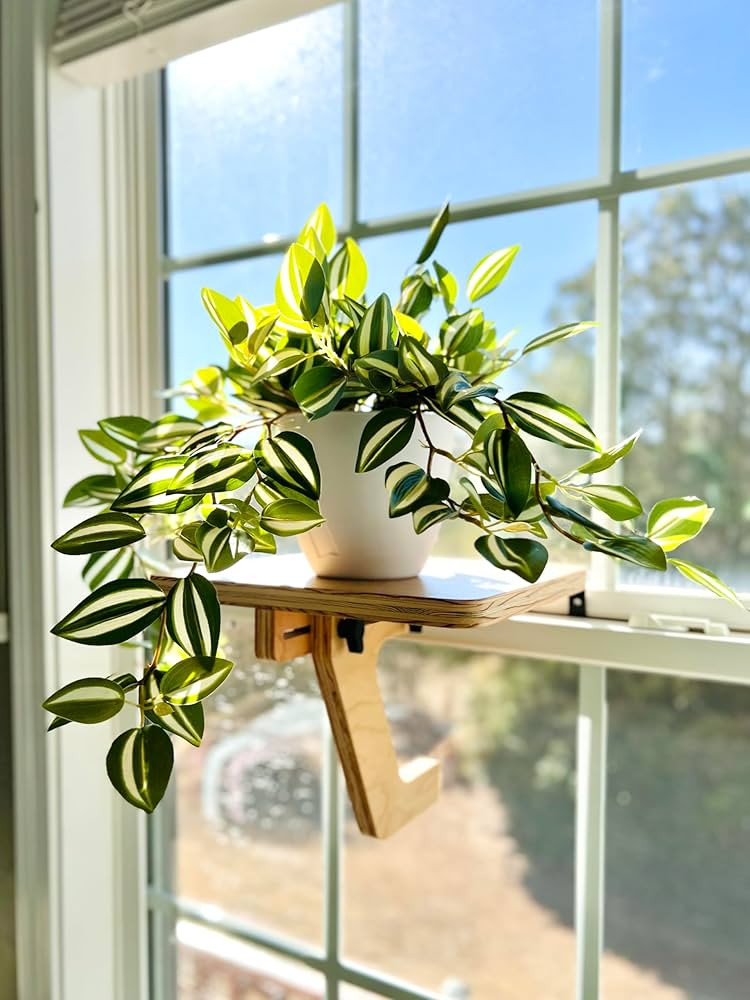 Window Plant Shelf for Mid-Window Installation \u2013 Adjustable Brace Mount, White Oak Wood Indo... | Amazon (US)