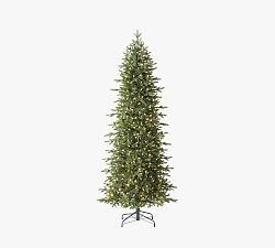 Tree Classics by Balsam Hill Lit Oregonian Slim Faux Christmas Tree | Pottery Barn (US)