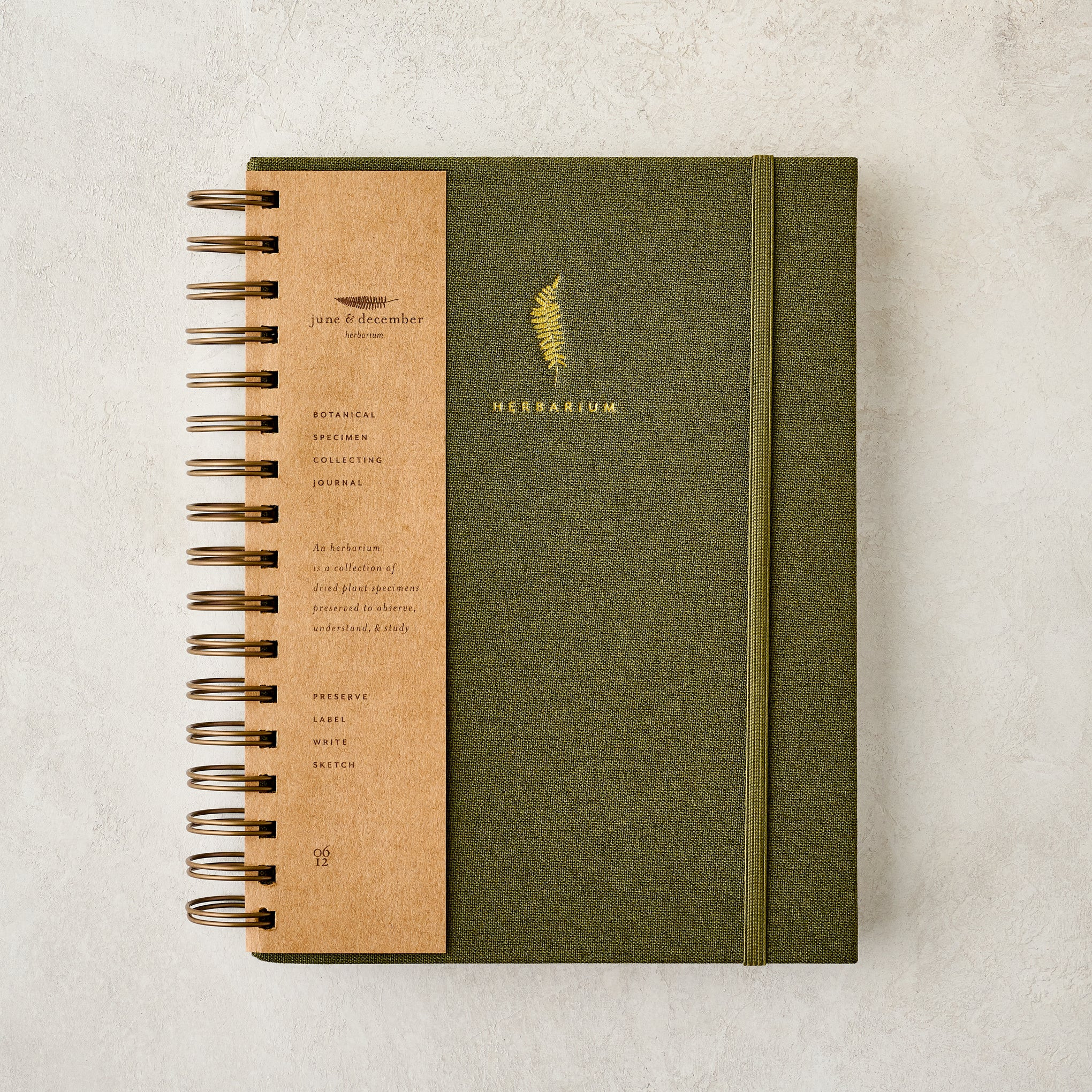 Herbarium Journal | Magnolia