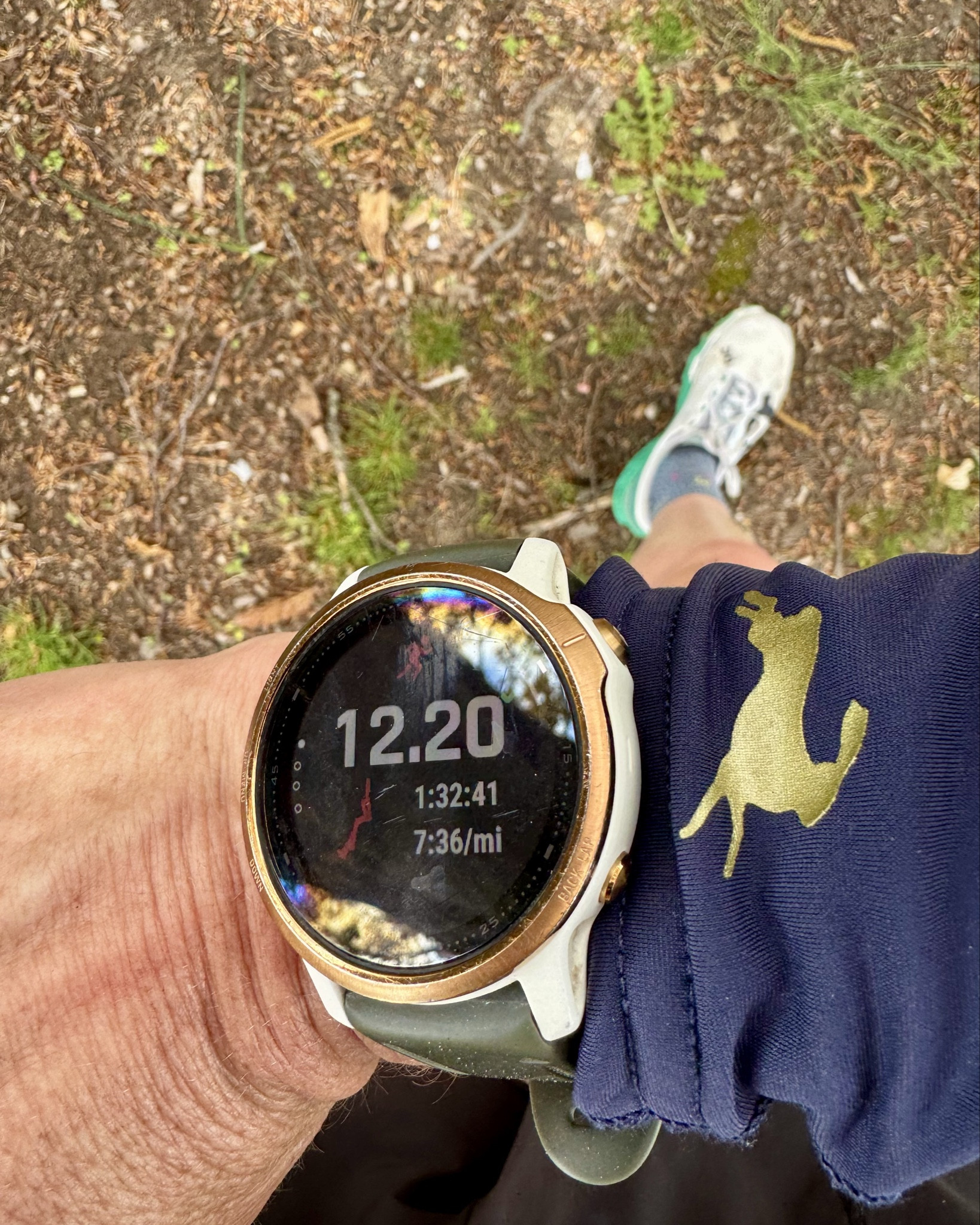 Last long run before marathon next weekend. Still wearing my Garmin Fenix 6s pro. Debating if I’ll wear these arm sleeves. Probably will. They have pockets and keep arms warm then dry the sweat  

#LTKOver40 #LTKActive #LTKShoeCrush